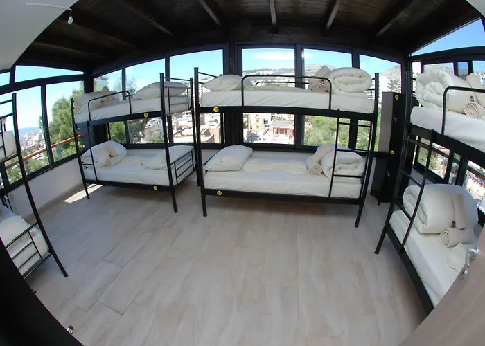 Auberge de jeunesse Wallaby *