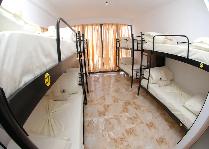 Auberge de jeunesse Wallaby Saranda